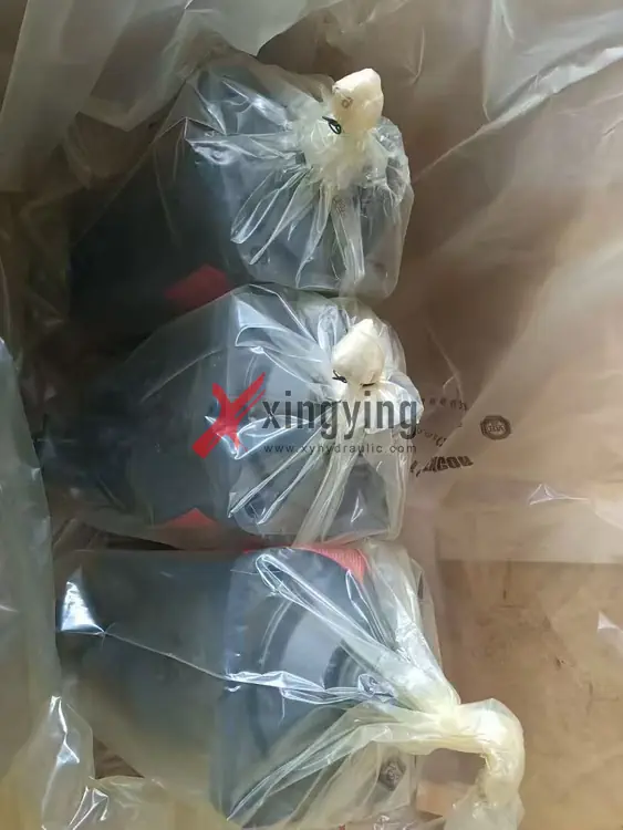 Log No. 18:Successful Export of 6 A6VM200 Motors (A6VM Bosch Rexroth) to Russia(pics1)